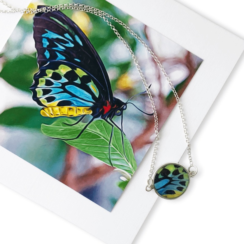 Rainbow Butterfly Small Circle Necklace – Sale