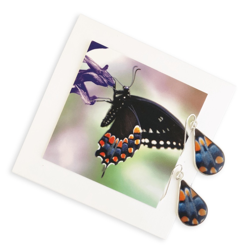 Butterfly Wing Small Teardrop Earrings