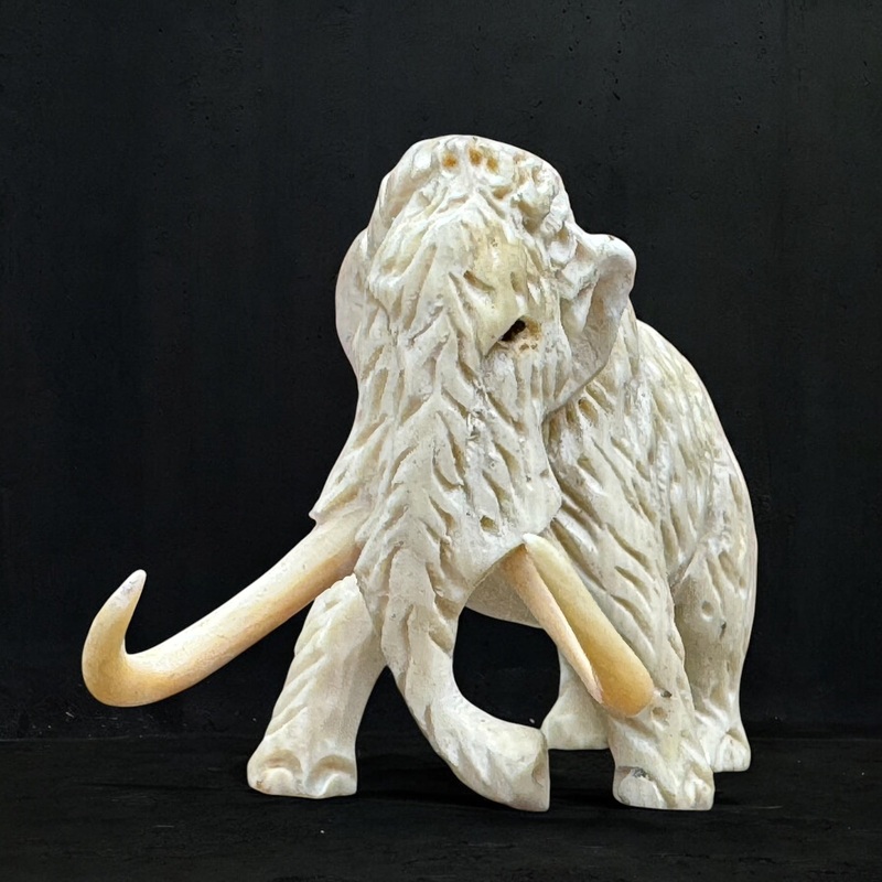Woolly Mammoth Carving