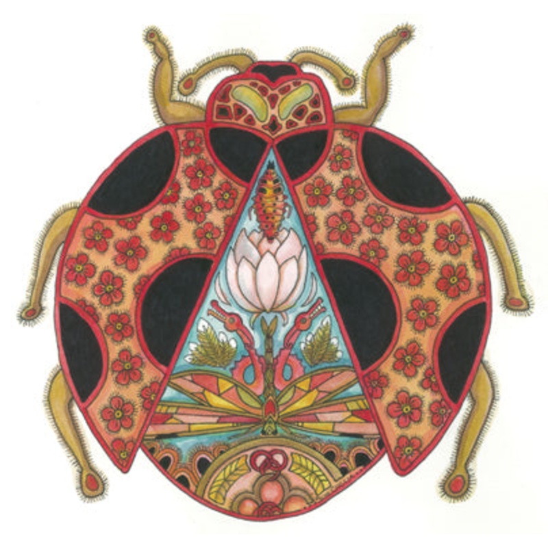 Ladybug